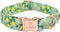 Lionheart Glory Premium Floral Dog Collar, Adjustable Soft Collars for X-Small Small Medium Large Dogs