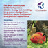 DrTim's Aquatics Freshwater Waste-Away Time Release Gel for Natural Fish Tank Waste Management Solution (50 gal)