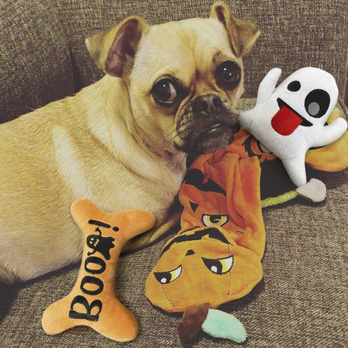 JPB Halloween Dog Toys, 3 Pack, Squeaky Toy for Small Dogs