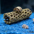 HOYAGWNG 5.7 Inch Hermit Crab Climbing Toys, Hollowed-Out Pipe, Hermit Crab Accessories, Tank Decoration for Reptile