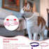 EXPAWLORER Soft Velvet Safe Cat Collars for Girl Cats - 2 Pack Rhinestones Bling Adjustable Breakaway Collars