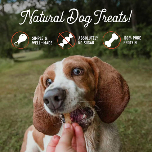 (10 oz, Pack 1) Beg & Barker Pork Jerky for Dogs of - Dog Training Treats - Natural Dog Treats Made in The USA - Grain