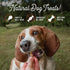 (10 oz, Pack 1) Beg & Barker Pork Jerky for Dogs of - Dog Training Treats - Natural Dog Treats Made in The USA - Grain