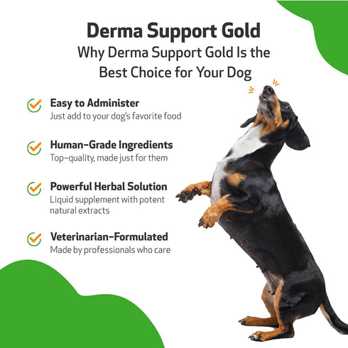 Pet Wellbeing Derma Support Gold for Dogs - Normal Skin Yeast Balance, Occasional Itching, Healthy Odor, Baikal