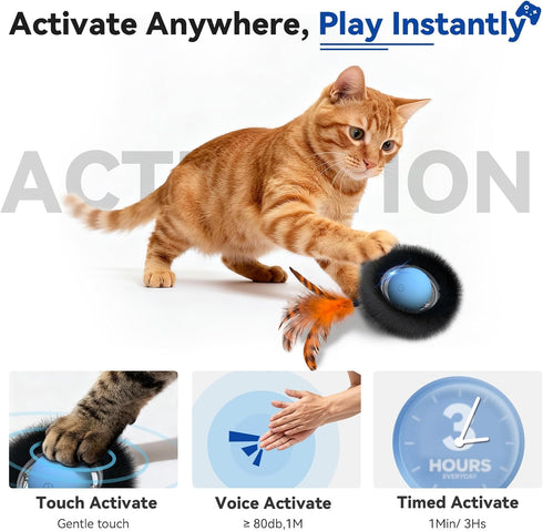 KiwiLove 7-Hole Interactive Cat Toy with Motion Activated Ball & Play Mat, Hide and Seek Exercise Game for Indoor Cats