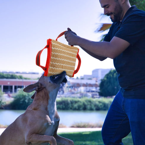 Libima 2 Pcs Dog Pillow Tug Toy Dog Pillow with Strong Handles Tug of War Training Tools Toy Linen Pad for Puppy Young