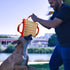 Libima 2 Pcs Dog Pillow Tug Toy Dog Pillow with Strong Handles Tug of War Training Tools Toy Linen Pad for Puppy Young