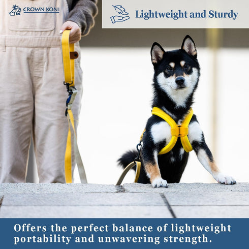 Dog Leash, 15mm Grey, 360° Tangle-Free, Heavy Duty Strong Nylon, Retractable and Hands-Free Design for Small and Medium