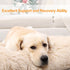 KSIIA Washable Dog Crate Bed, 41x27 Inch Camel, Deluxe Plush Anti-Slip Thick Kennel Pad