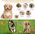 Squeaky Dog Toys Chewing Durable Teething Latex Rubber Balls with Funny Smile Face for Small Medium Dogs (6PCS)