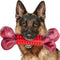 Apasiri Tough Dog Toys for Aggressive Chewers Large Breed, Chew Toys, Bones Made with Nylon and Rubber, Indestructible