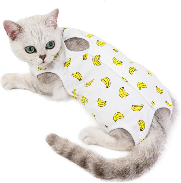 Cat Professional Surgical Recovery Suit - E-Collar Alternative for Cats and Dogs, After Surgery Pajama Suit for Pets