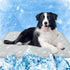 MH MYLUNE HOME Self Cooling Mat for Large Dogs - 39”x59” Arc-Chill Cooling Fiber Pet Cooling Pad, Washable