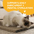 2 Pack Hide & Scratch Cat Scratcher Pad | Double-Sided Cardboard Refills for Our Scratching Box | Reversible Corrugated