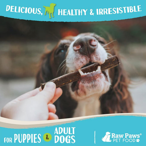 Raw Paws Wild-Caught Venison Treats for Dogs, 6-oz - Real Meat Jerky, Grain, Corn & Soy Free