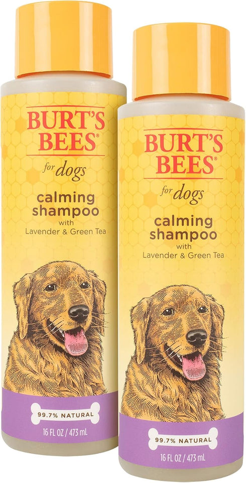 Burt's Bees for Pets Care Plus+ Waterless Shampoo Spray with Coconut Oil, Best Dry Shampoo for Dogs, 12 Oz