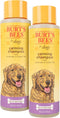 Burt's Bees for Pets Care Plus+ Waterless Shampoo Spray with Coconut Oil, Best Dry Shampoo for Dogs, 12 Oz