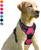 BARKBAY No Pull Dog Harness, Heavy Duty Reflective Front Clip with Easy Control Handle for Large Dogs (Pink, L)