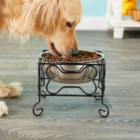 Wrought Iron Stand with Single Stainless Steel Bowl Size: Medium (7" H x 9.5" W x 9.5" D)