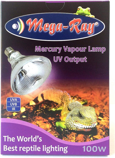 Mercury Vapor Bulb, 100 Watts