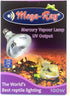 Mercury Vapor Bulb, 100 Watts