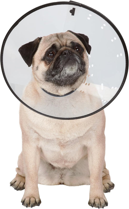 Elizabethan Collars, Durable Plastic, X-Small, Clear - Prevents Pets from Licking Wounds