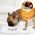 Ptlom Pet Placemat for Dogs and Cats, Non-Slip Waterproof Feeding Mat, Suitable for Small, Medium & Large Pets, White