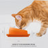 Elevated Cat Food Bowl, Tilted Feeding Stand, Whisker Friendly Slanted Feeder, Orange