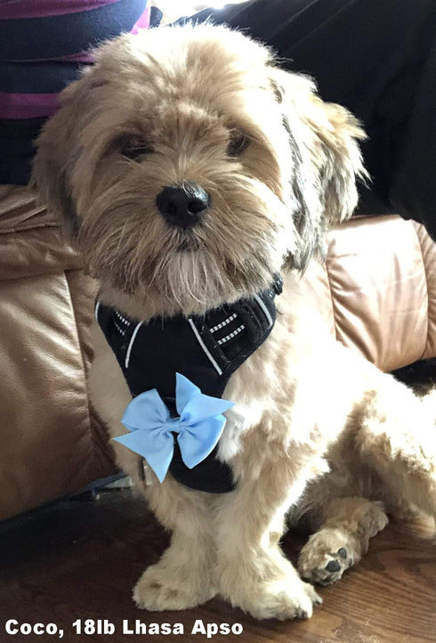 Cute Puppy Supplies Dog Accessories for Large Dogs, 8ct 3 Inch Small Dog Hair Bows for Grooming