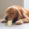 AOOOWER Realistic Talking Peanut Dog Toy with Sound Rubber Chewing Teether for Puppy Training