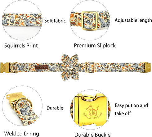 Elegant Little Tail Fall Dog Collar with Flower, Halloween Plaid Pet Collar for X-Small Dogs, Holiday