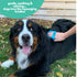 Mighty Mutt Dog Bath Brush - Massage Rubber Soft Bristle Brush for Easy Grooming - Wet or Dry Shampoo Brush - 1 pc