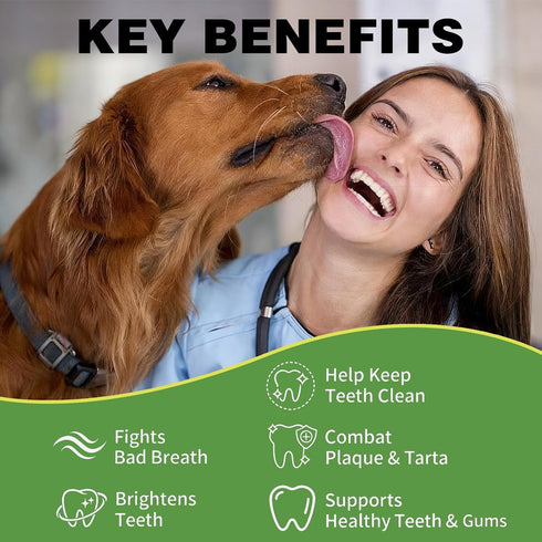Xuaobamm 75 Dog Dental Powder, Teeth Cleaning Powder for Dogs, Plaque & Tartar Remover for Pet Oral Care - Fresh Breath