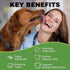 Xuaobamm 75 Dog Dental Powder, Teeth Cleaning Powder for Dogs, Plaque & Tartar Remover for Pet Oral Care - Fresh Breath