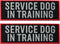 2 Pcs Reflective Service Dog in Training Patch Set, Hook and Loop Fastener for Dog Vest Harness