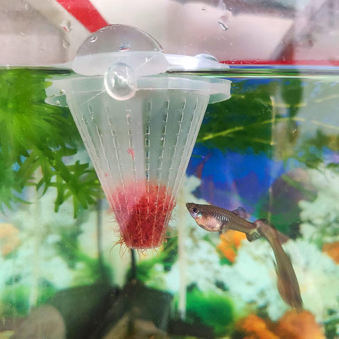 WEAVERBIRD 4PCS Aquarium Nematode Feeder, Live Blood Worm Plastic Cone Cup Shape Basket Feeder for Fish