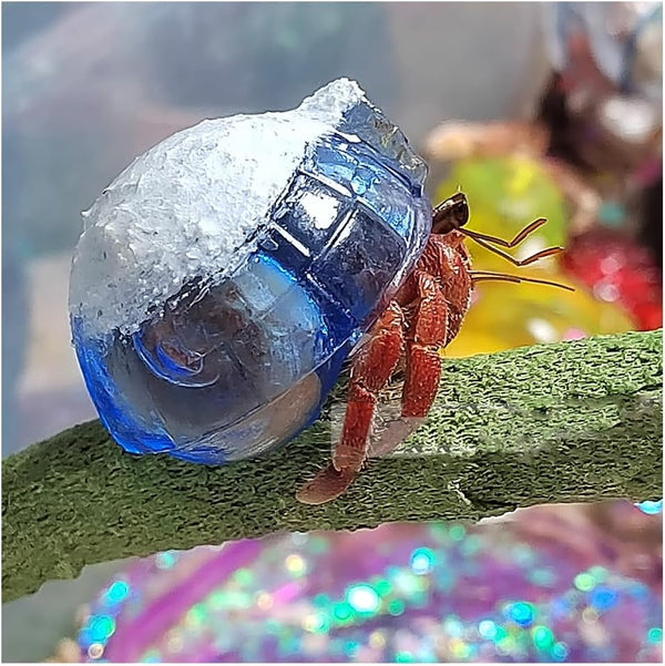 Opaeroo Snow House Designs Hermit Crab Shells for Home Decorations Hermit Crab Supplies