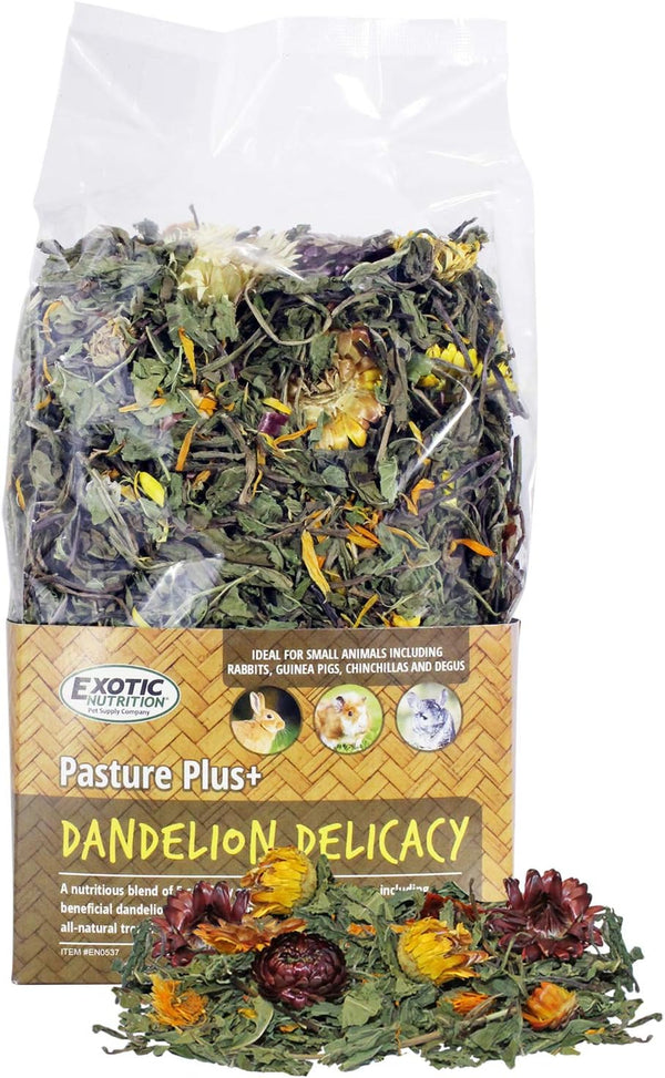 Pasture Plus+ Dandelion Delicacy - Healthy High-Fiber Dried Flower Treat for Small Pets