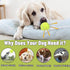 20 Pack 2.5 inch 2.5inch) Magicorange Dog Tennis Balls, Floatable Squeaky Tennis Balls for Fetch Exercise, Natural