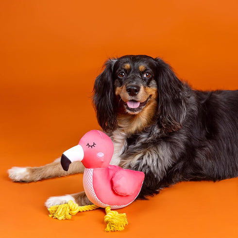 (640028) Fringe Studio Floating Dog Toy with Rope BE FLAMAZING, Pet Shop Collection