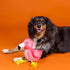 (640028) Fringe Studio Floating Dog Toy with Rope BE FLAMAZING, Pet Shop Collection