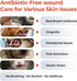3.38 oz Oral Spray for Dogs and Cats Teeth Cleaning Spray Freshens Breath, Soothes Gums, Alcohol Free Daily Dental Care