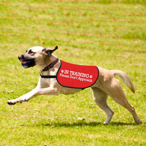 JXGZSO Nervous Do Not Approach Dog Jacket Vest, Nervous Rescue Space Dog Vest with Warning Slogan (Training approach M)