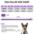 Adjustable Leather Dog Collar for Small Medium Dogs, Star Moon Rivet Studded with Rust-Proof Metal Buckle, XS S