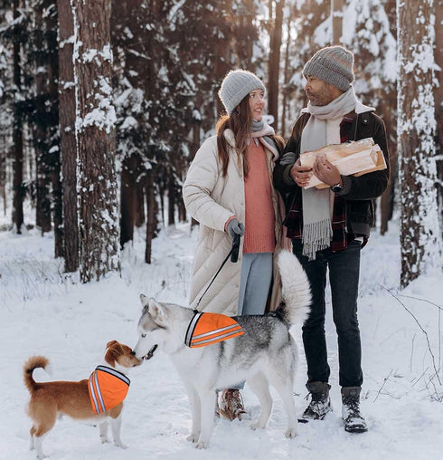 Reflective Dog Bandana Safety Scarf, 2 Pack Orange Dog Reflective Gear