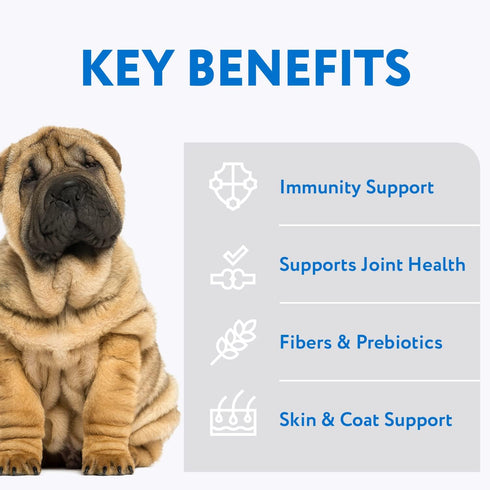 OPtimeal Sensitive Skin and Stomach Dog Food - Salmon & Brown Rice, Tasty Dry Recipe, Medium/Large Adult Dogs (8.8
