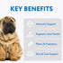 OPtimeal Sensitive Skin and Stomach Dog Food - Salmon & Brown Rice, Tasty Dry Recipe, Medium/Large Adult Dogs (8.8