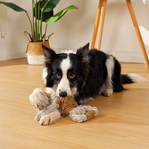 Squeaky Dog Toy, Durable Dog Toy Large Breed, Tug of War Dogs Interactive Toy, Stuffed Plush Puppy Toys with Crinkle