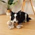 Squeaky Dog Toy, Durable Dog Toy Large Breed, Tug of War Dogs Interactive Toy, Stuffed Plush Puppy Toys with Crinkle