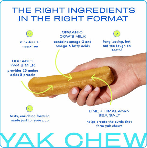 Native Pet Yak Chews (5 Small Chews) - Yak Milk Chews for Puppies & Small Dogs - Puppy Teething Toys